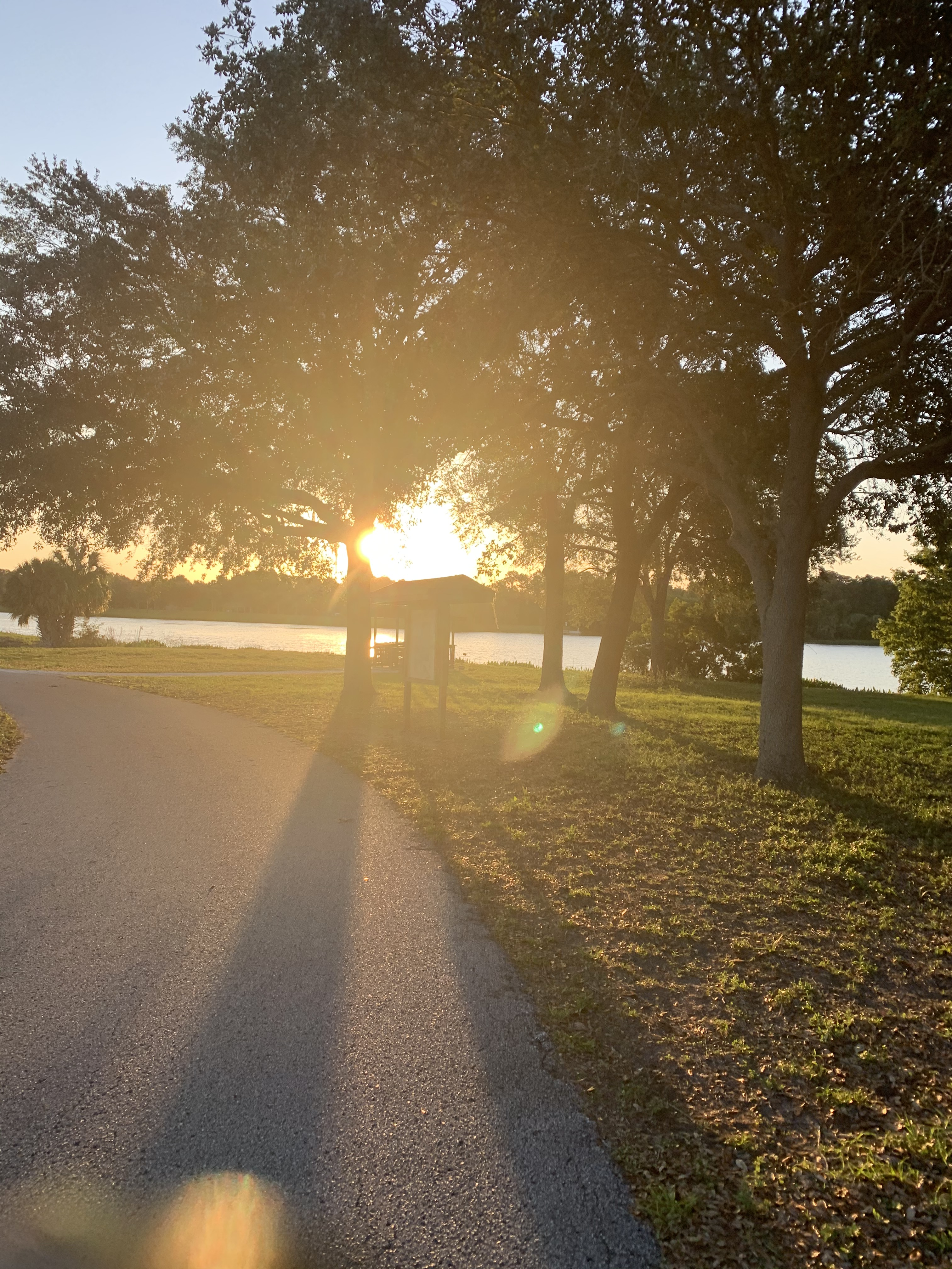 Devotions For Real Life